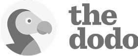 The Dodo