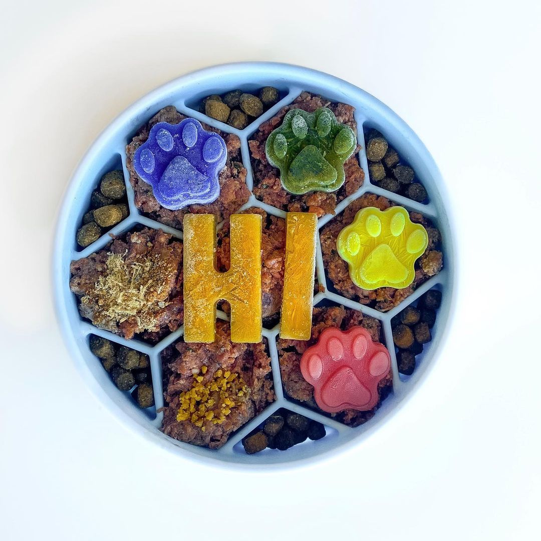 Birds-eye view of a light blue slow feeder dog bowl filled with kibble, meat, and colorful pupsicles.