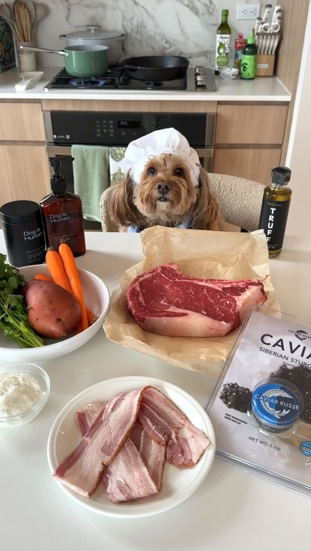 Homecooked meals with Dog is Human