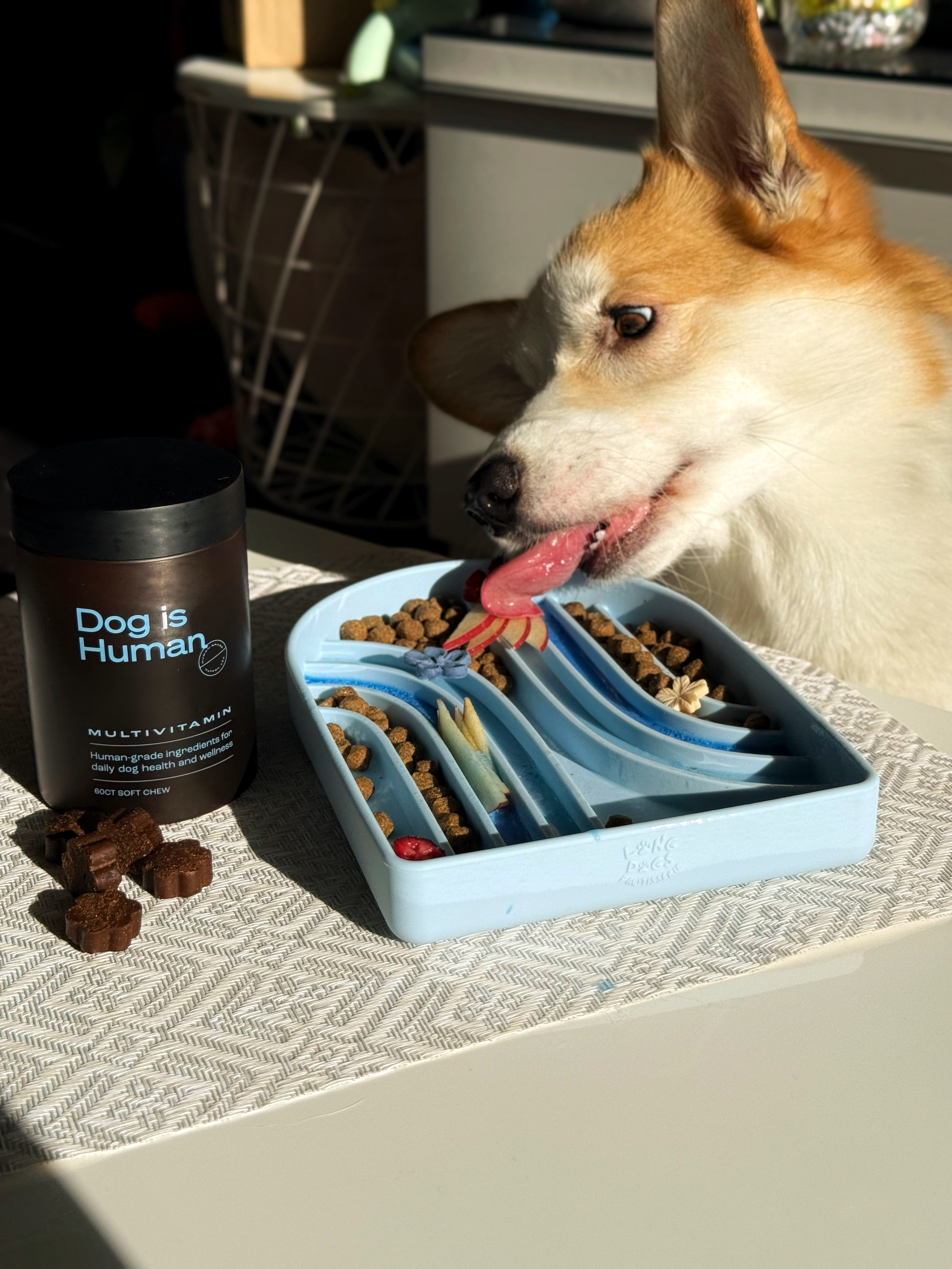 Homecooked meals with Dog is Human