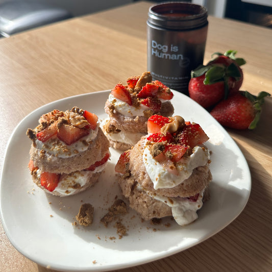 A white plate with dog-friendly cupcakes topped with Greek yogurt, diced strawberries, Dog is Human multivitamin, and peanut butter. A dog multivitamin jar and three strawberries sit to the right.