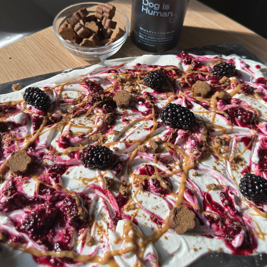 A tray of yogurt bark topped with blackberries, dog multivitamins, and peanut butter. A bowl of pet multivitamin chews and its jar sit atop the counter too.