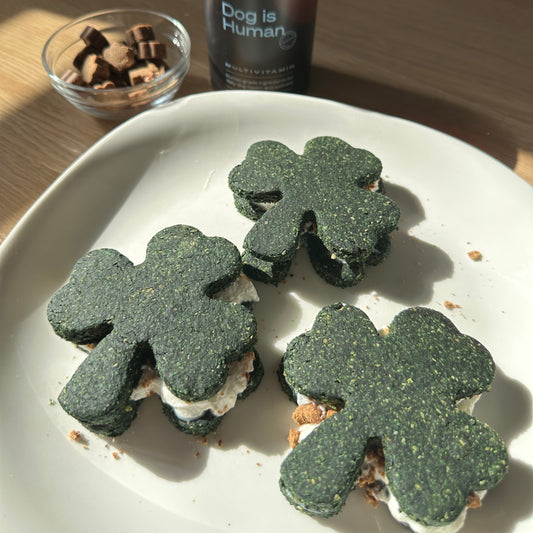 Three shamrock shaped cookies arranged on a white plate. A bowl of dog multivitamin chews and their jar sits behind.