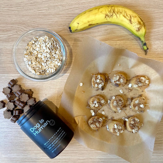 Dog multivitamins, oats and a banana surrounding a plate of homemade banana treats on parchment paper.