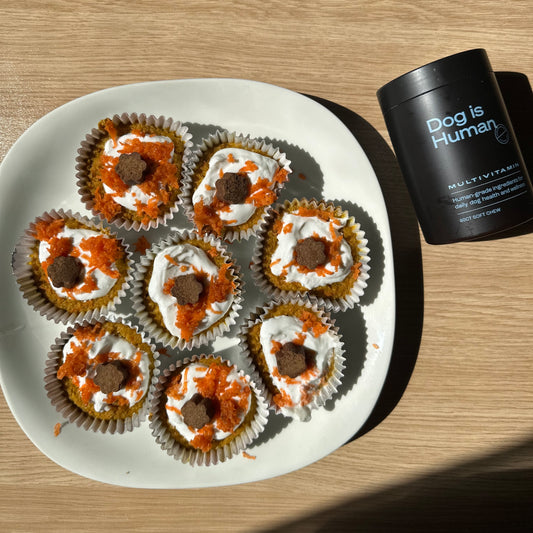 Dog-friendly muffins topped with Greek yogurt, shredded carrots, and dog multivitamins on a white plate. The dog multivitamin jar lays to the right..