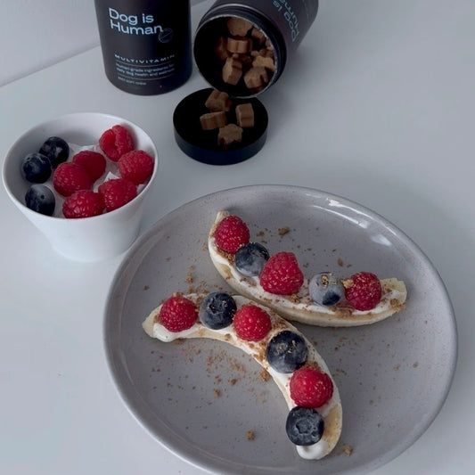 A plated dog-friendly banana split consisting of berries, Greek yogurt, and dog multivitamin crumbles topping a banana. A bowl of mized berries and a two dog multivitamin jars sit in frame.