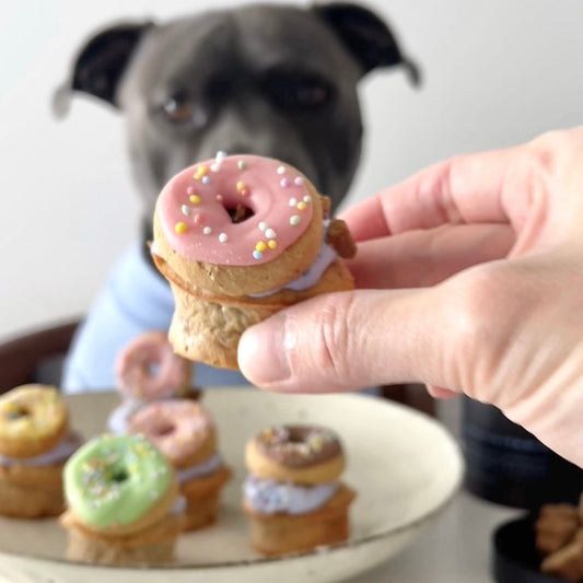 Close-up shot of a donut-themed "pupcake" being held. An obscured black Staffy looks expectantly in the background.