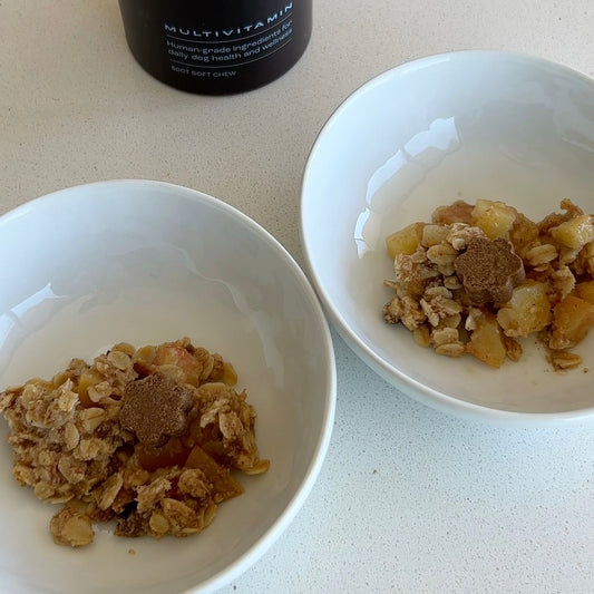 Aerial shot of two bowls of dog-friendly apple crumble arranged on a white countertop with a dog multivitamin jar behind them.