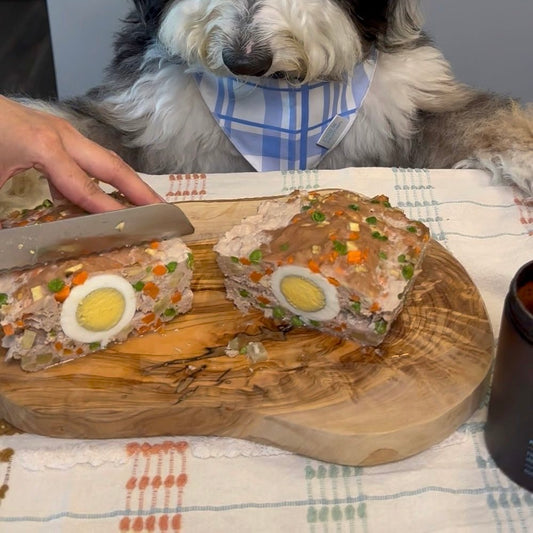 A dog looking down at two freshly cut halves of a dog-friendly turkey meatloaf.