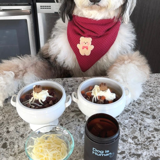 A dog with a red bandana stands with two small pot-like bowls full of chili.