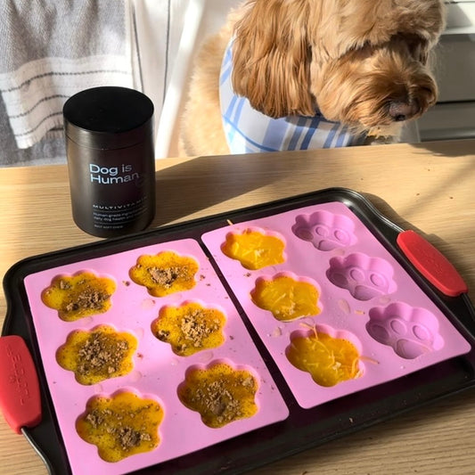 A Cockapoo looks down at a counter with two pink molds with 6 paw-shaped wells each. The first three columns of wells are filled and there is a dog multivitamin jar just above the tray with the molds.