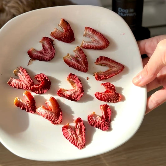 A plate of 13 dehydrated strawberry chips. A jar of pet multivitamins and a dog are in the background behind.