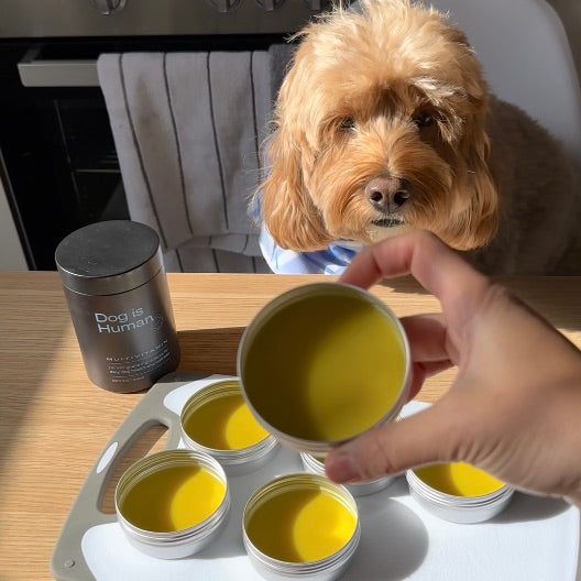 A tin of homemade paw balm is being held up above a cutting board with 5 other tins sitting on a table by an offscreen person. A jar of dog supplements and a cockapoo sit in the background behind the scene.