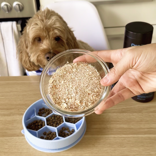 A clear bowl of homemade eggshell meal topper is being held up by an offscreen hand. A dog and their blue dog bowl filled with kibble are in the background.