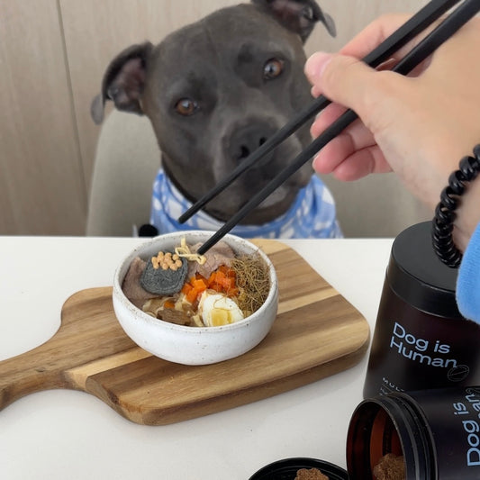 A small bowl of dog-safe ramen sits on a cutting board. A blue staffy looks hungrily at the bowl while its offscreen owner reaches towards the food with chopsticks.