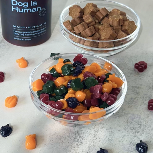 A small glass bowl of full of dog-safe fruit snacks sits center on a counter with more fruit snacks surrounding it. Another glass bowl of dog multivitamins and their jar are behind the fruit snacks.