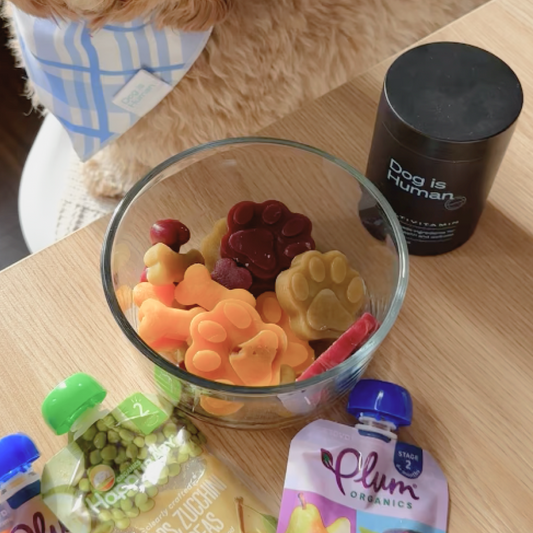 A glass bowl of frozen dog-safe popsicles made from baby food sits on a table. Behind it are a dog and jar of dog multivitamins, and in front of it are three packs of baby food purees in assorted flavors.