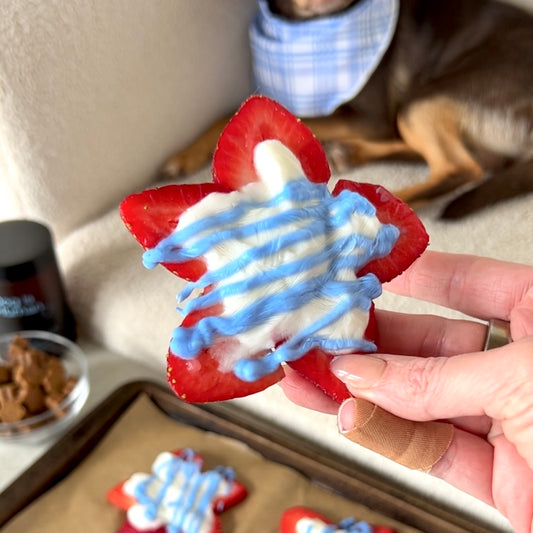 A star-shaped dog treat made from sliced strawberries, plain greek yogurt, and blue spirulina are held up to the camera. A dog, extra star treats, and pet multivitamins are in the background of the photo. 