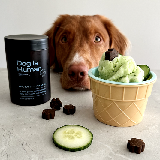 Hickory the Retriever is enjoying his Cucumber Mint Creamy