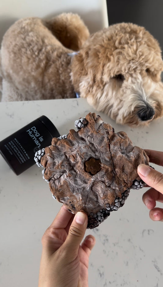 Nala the Doodle is enjoying her Blackberry Bark