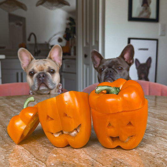 Two dogs looking at a dog-friendly fall treat. Wild Alaskan Fish Oil being pumped onto treat on the right.