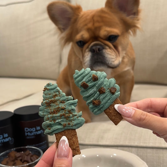 Dog looking at dog-friendly spirulina tree treats. Pet multivitamin in the bottom left.