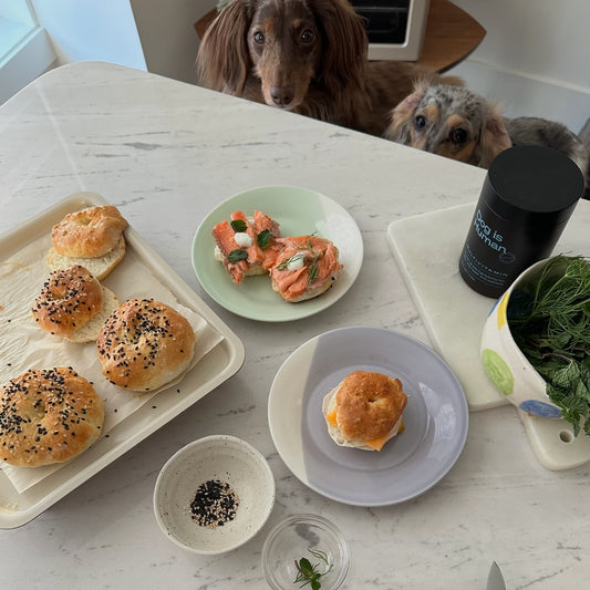 🥯Doggy Deli Bagels