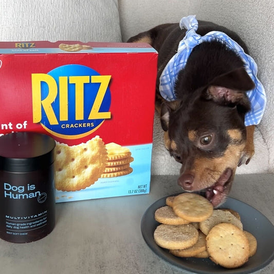 Dog reaching to eat a dog-friendly ritz cracker on table. Pet multivitamin and ritz cracker box on the left.