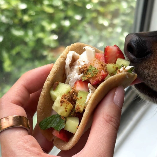 Human hand holding up a dog-friendly taco in front of a window. Dog sniffing the taco on the right. 