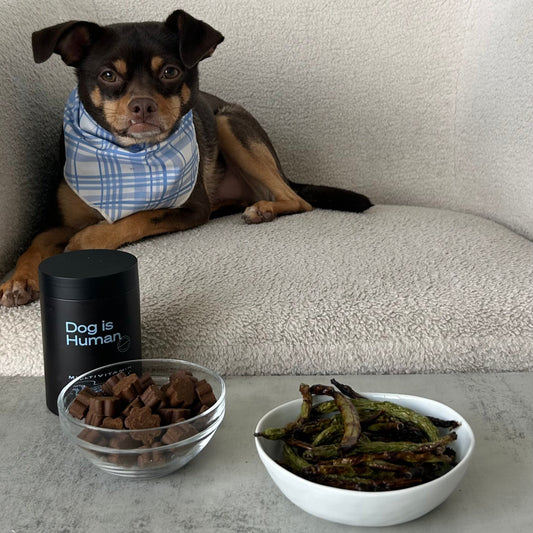 🫛Green Bean Treats