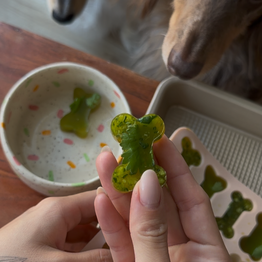 🦴Detox Bone Broth Gummies