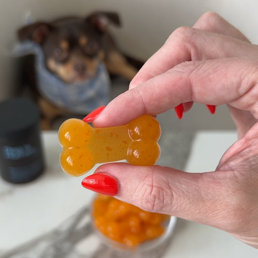 🦴Gut Health Gummies