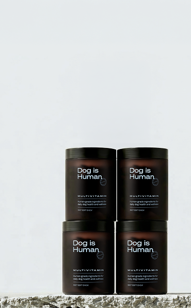 Join Dog is Human's