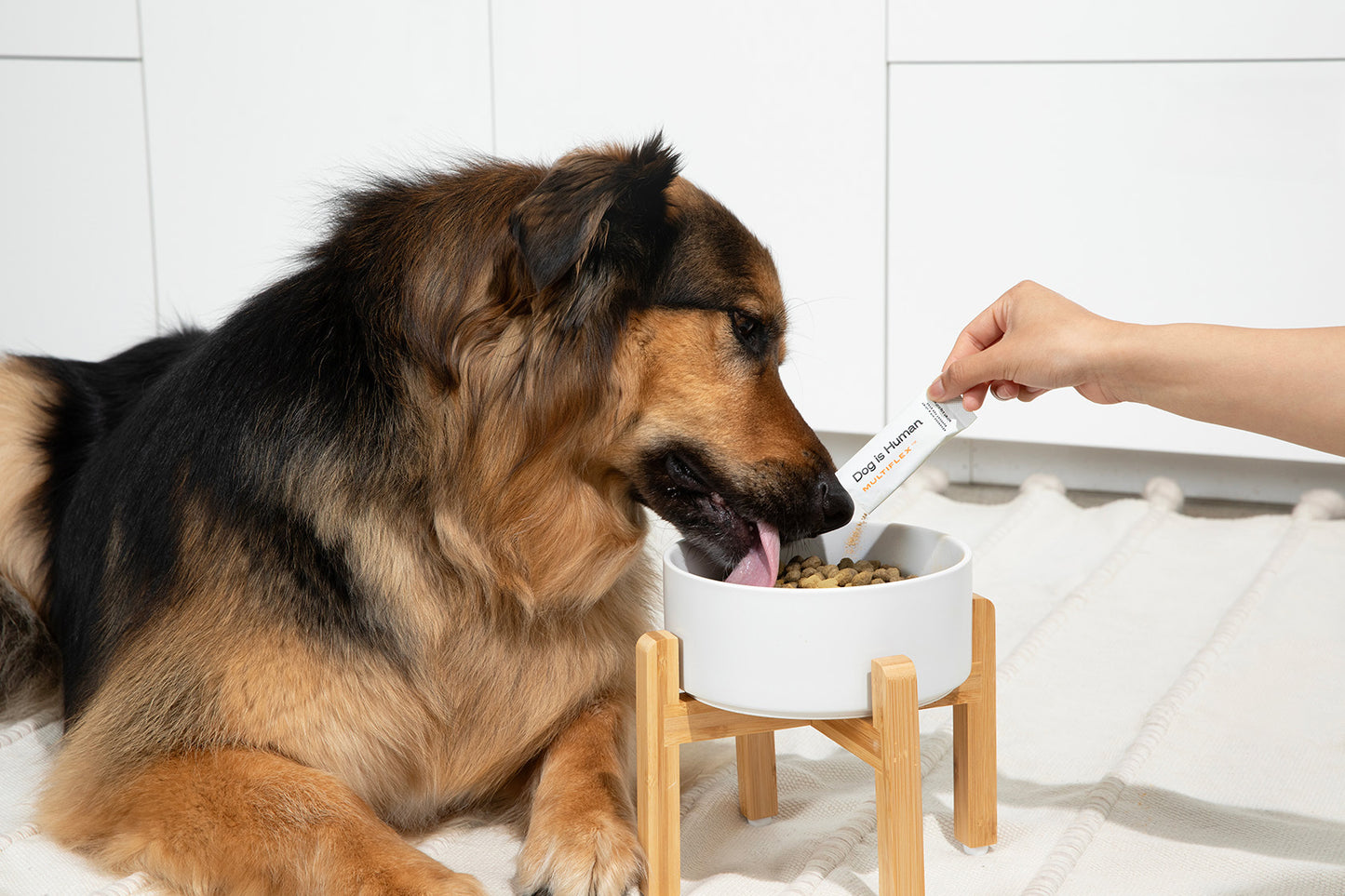 Advanced Hip and Joint