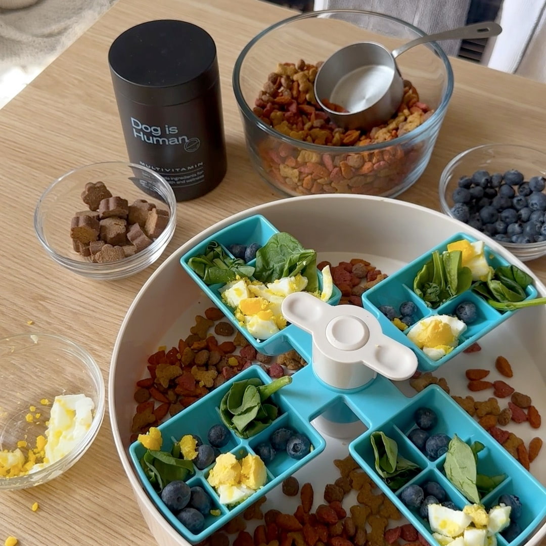 A spin bowl on a wooden counter prepared with the variety of dog-safe foods in glass bowls surrounding it. A dog multivitamin jar sits nearby.