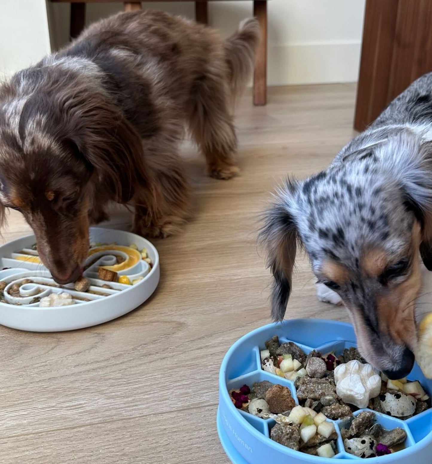 Slow Feeder Dog Bowl