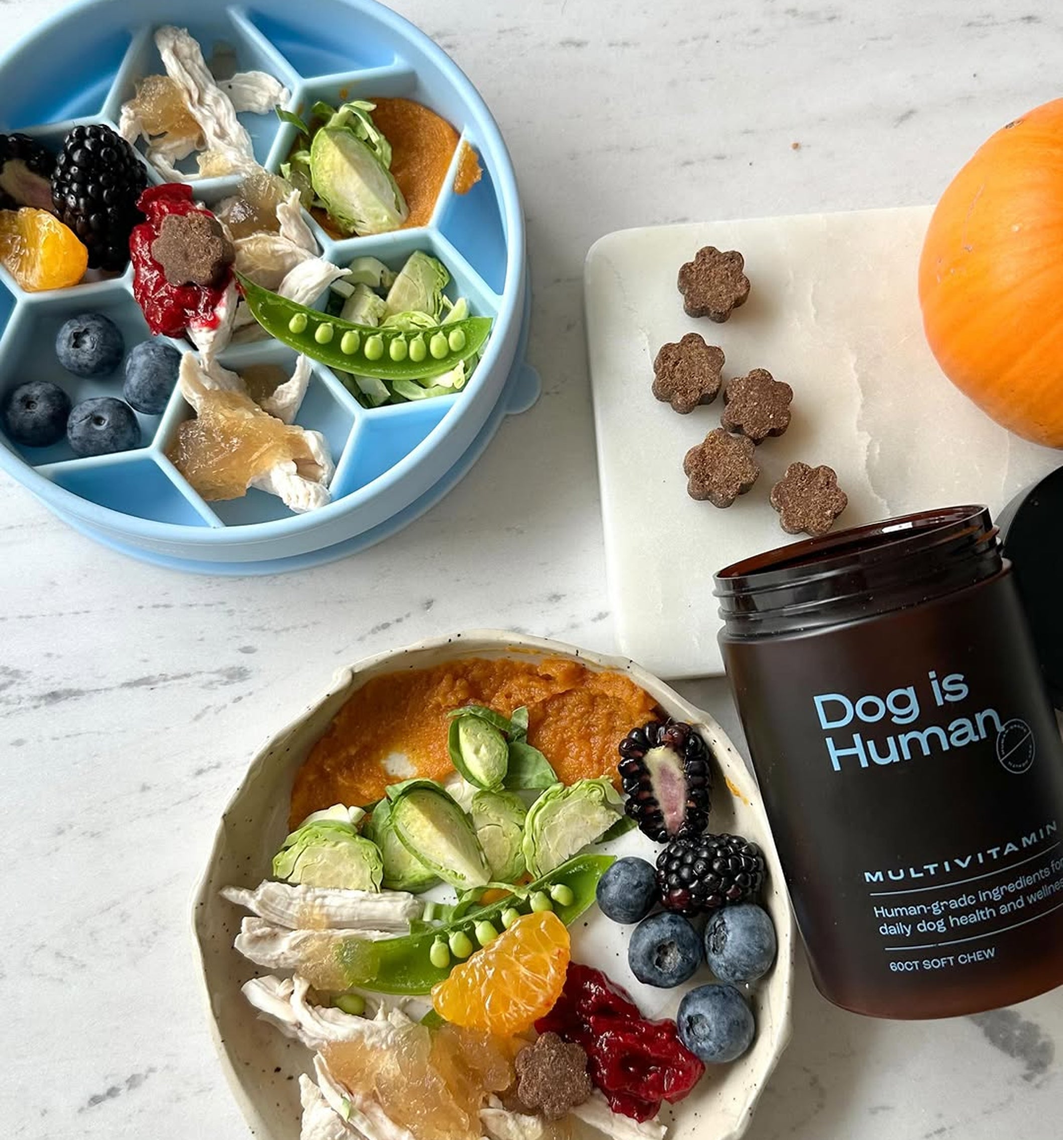 Slow Feeder Dog Bowl