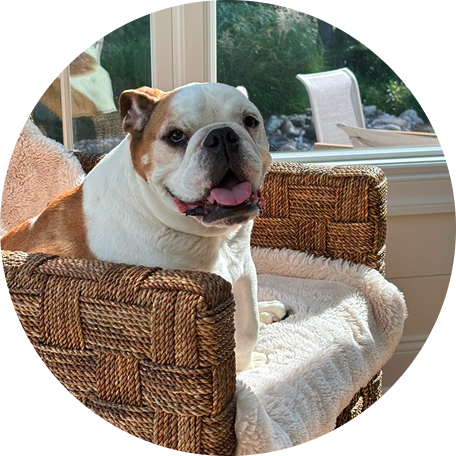 Le chien d'Élise T.