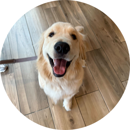 Le chien de Nicolas B.