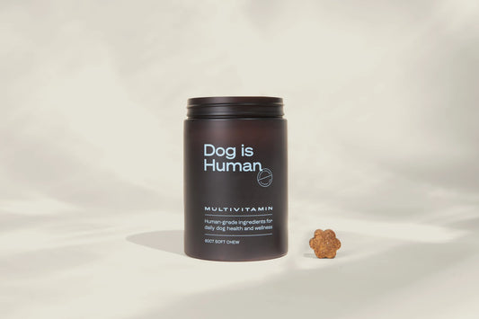 Front view of the Dog is Human multivitamin jar and one chew next to it against a beige, shadowy background.