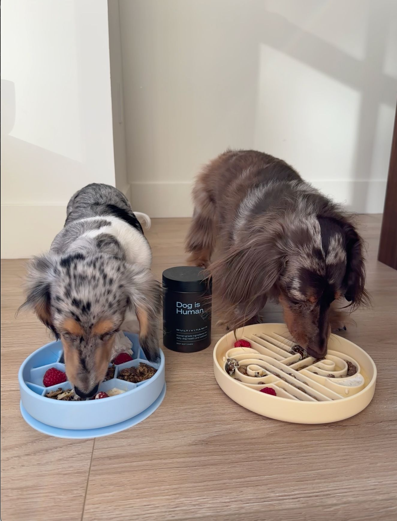 Homecooked meals with Dog is Human